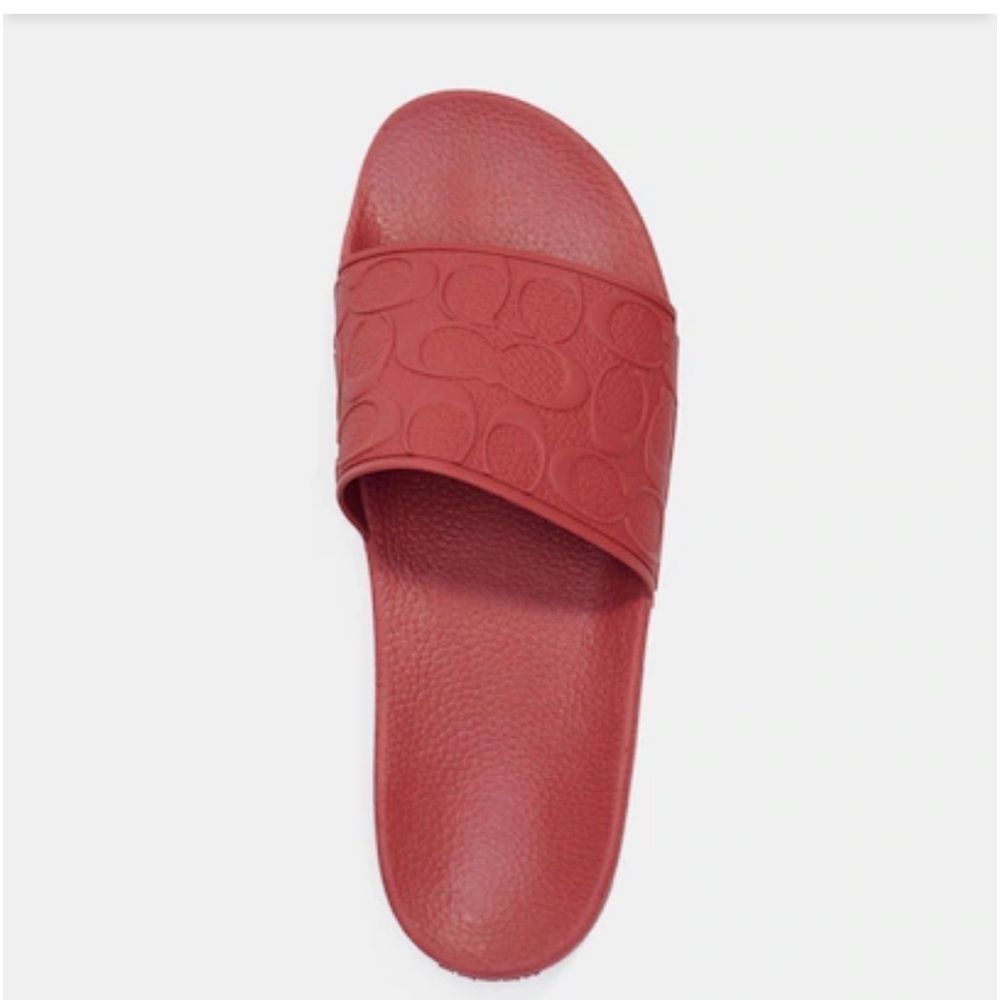 Coach Men Slides